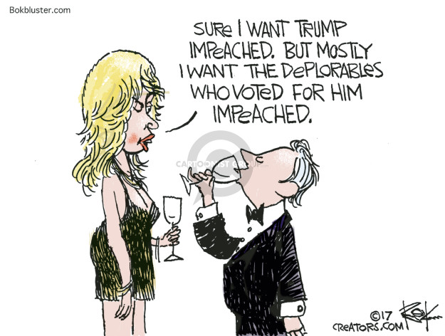 Image result for cartoon about impeachment