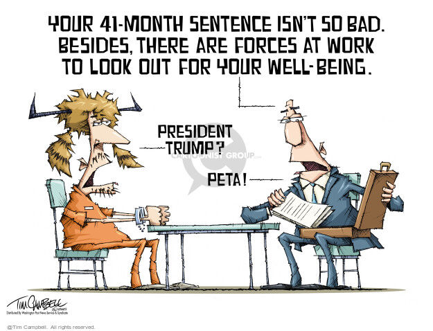 Tim Campbell  Tim Campbell Editorial Cartoons 2021-11-19 Donald Trump