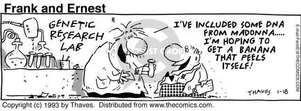 Cartoonist Bob Thaves Tom Thaves  Frank and Ernest 1993-01-18 