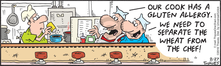 Comic Strip Bob Thaves Tom Thaves  Frank and Ernest 2016-08-27 cooking