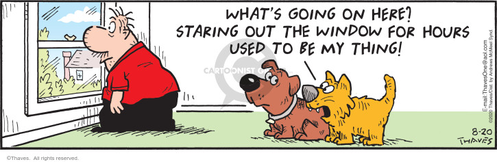 Comic Strip Bob Thaves Tom Thaves  Frank and Ernest 2020-08-20 dog and cat