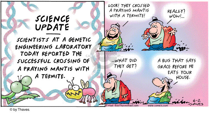 Comic Strip Bob Thaves Tom Thaves  Frank and Ernest 2002-06-02 heredity