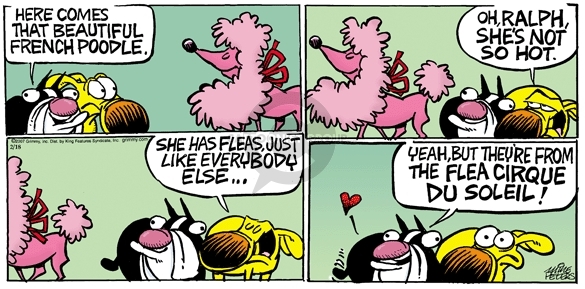 Comic Strip Mike Peters  Mother Goose and Grimm 2007-02-18 dog flea