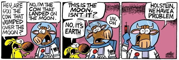 Comic Strip Mike Peters  Mother Goose and Grimm 2008-01-14 mother earth