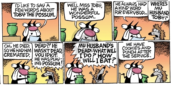 Comic Strip Mike Peters  Mother Goose and Grimm 2008-01-27 after