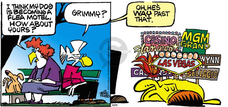 Comic Strip Mike Peters  Mother Goose and Grimm 2011-12-11 past