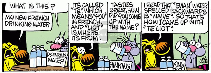 Comic Strip Mike Peters  Mother Goose and Grimm 2012-05-24 source