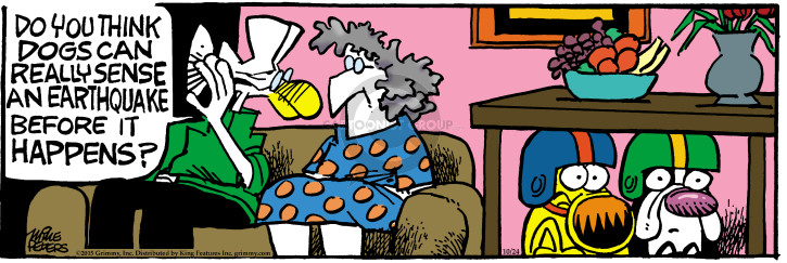 Comic Strip Mike Peters  Mother Goose and Grimm 2015-10-24 gear