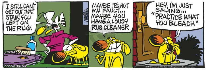 Comic Strip Mike Peters  Mother Goose and Grimm 2017-03-03 cleaning
