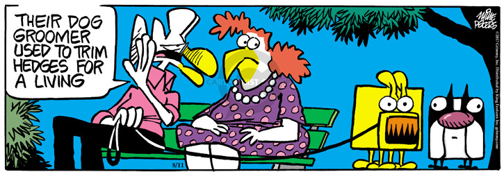Comic Strip Mike Peters  Mother Goose and Grimm 2017-08-11 groom