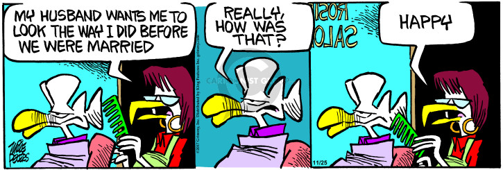 Comic Strip Mike Peters  Mother Goose and Grimm 2017-11-25 before