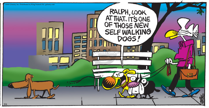Comic Strip Mike Peters  Mother Goose and Grimm 2018-05-06 dog walk