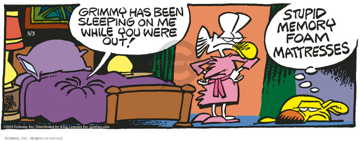 Comic Strip Mike Peters  Mother Goose and Grimm 2019-05-03 memory