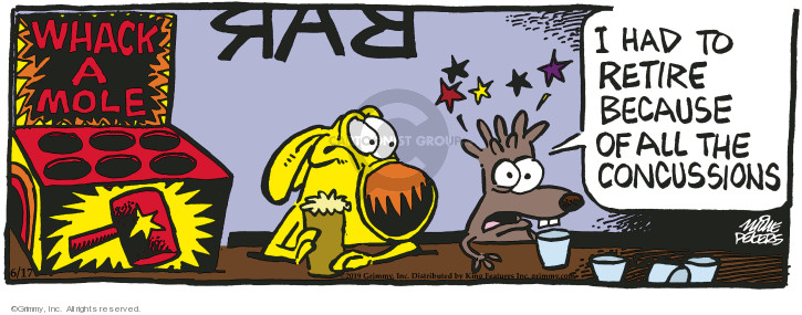 Comic Strip Mike Peters  Mother Goose and Grimm 2019-06-17 head