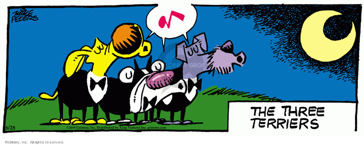 Comic Strip Mike Peters  Mother Goose and Grimm 2019-06-28 terrier
