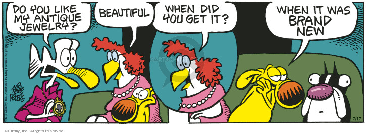 Comic Strip Mike Peters  Mother Goose and Grimm 2019-07-17 old age