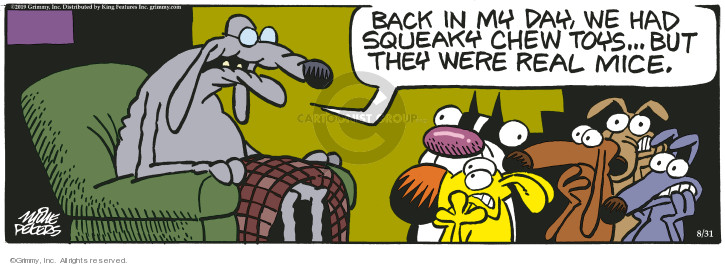 Comic Strip Mike Peters  Mother Goose and Grimm 2019-08-31 old age