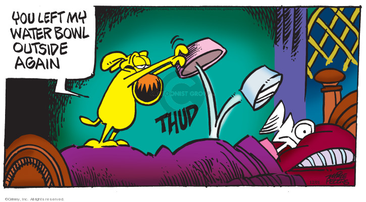 Comic Strip Mike Peters  Mother Goose and Grimm 2019-12-01 left