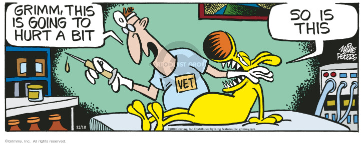 Comic Strip Mike Peters  Mother Goose and Grimm 2020-12-10 veterinarian