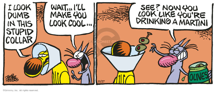 Comic Strip Mike Peters  Mother Goose and Grimm 2021-11-27 cocktail