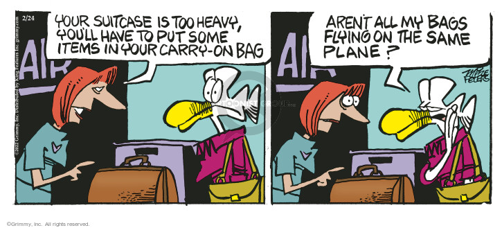 Comic Strip Mike Peters  Mother Goose and Grimm 2022-02-24 airline travel