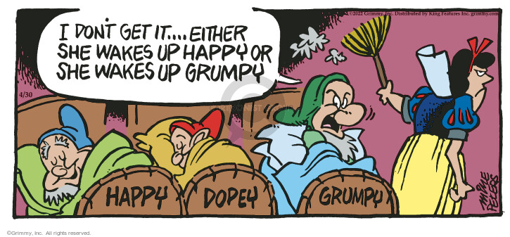 Comic Strip Mike Peters  Mother Goose and Grimm 2022-04-30 don't