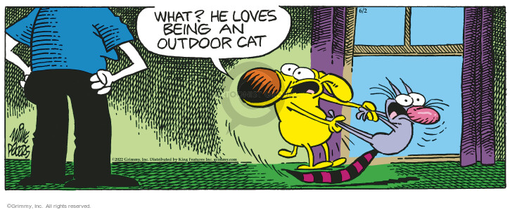 Comic Strip Mike Peters  Mother Goose and Grimm 2022-06-02 outdoors