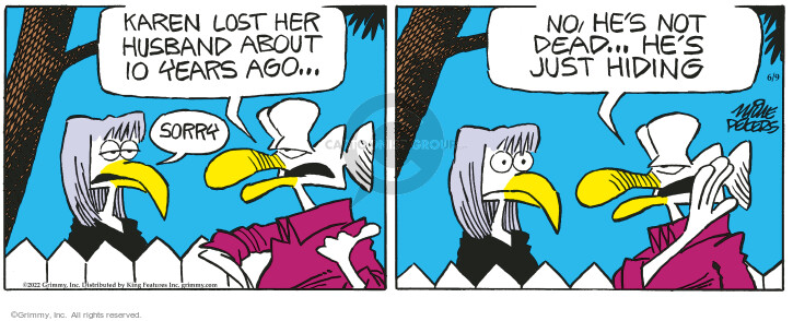 Comic Strip Mike Peters  Mother Goose and Grimm 2022-06-09 year