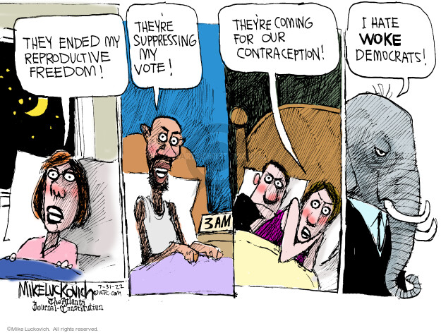Mike Luckovich  Mike Luckovich's Editorial Cartoons 2022-07-31 republican democrat