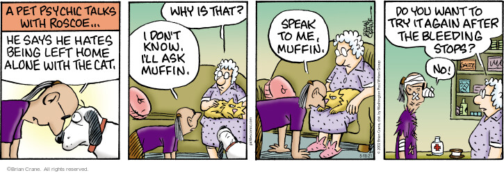 Comic Strip Brian Crane  Pickles 2021-05-18 muffin