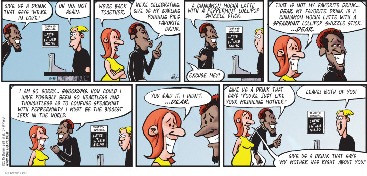 Comic Strip Darrin Bell  Rudy Park 2015-11-29 could