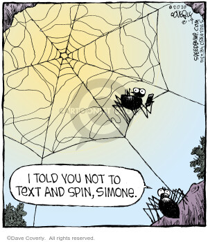 Comic Strip Dave Coverly  Speed Bump 2020-08-04 spiderweb