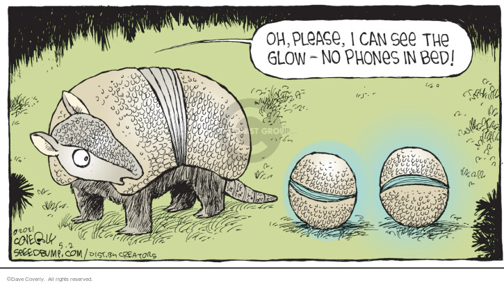Comic Strip Dave Coverly  Speed Bump 2021-05-02 cell phone