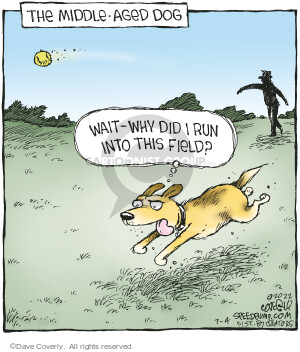Comic Strip Dave Coverly  Speed Bump 2022-07-04 dog