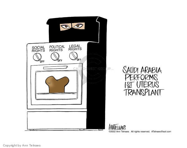 Ann Telnaes  Ann Telnaes' Editorial Cartoons 2002-03-08 Saudi