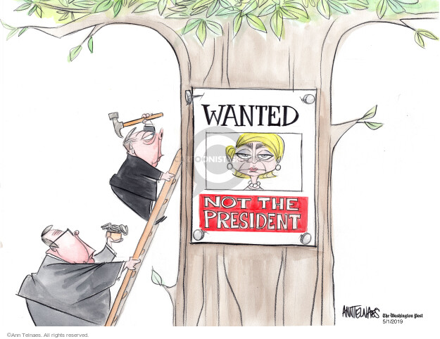 Ann Telnaes  Ann Telnaes' Editorial Cartoons 2019-05-01 presidential election