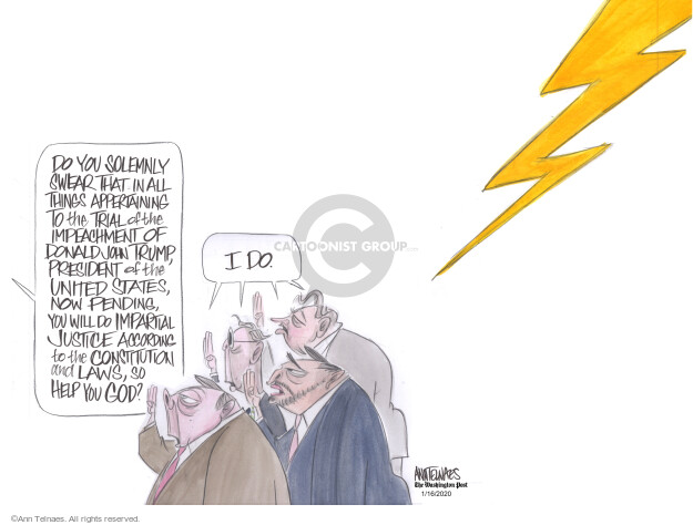 Ann Telnaes  Ann Telnaes' Editorial Cartoons 2020-01-17 partisan politics