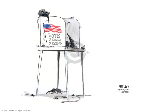 Ann Telnaes  Ann Telnaes' Editorial Cartoons 2021-11-30 voter suppression