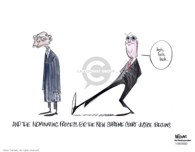 Ann Telnaes  Ann Telnaes' Editorial Cartoons 2022-01-26 supreme court nominee